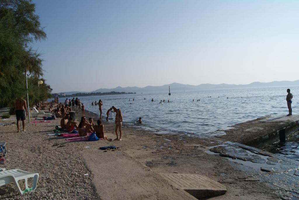 Marta - - Near The Sea Zadar